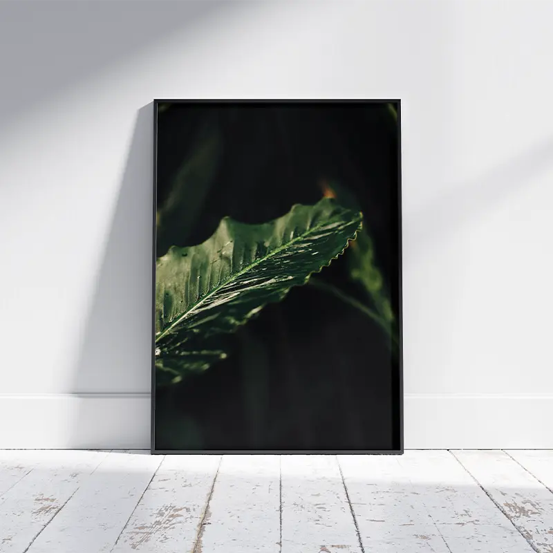 Leaf